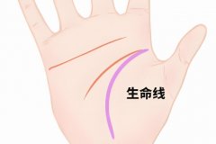 如何正确的看生命线