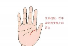 生命线短就会短命吗