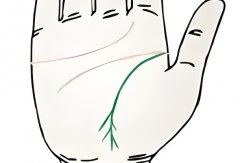 生命线有分叉代表什么