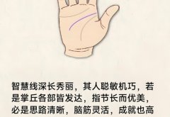 智慧线很长好吗