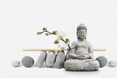 用佛教视角看待众生不同的命运八字