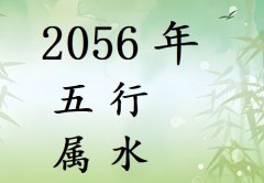 2056年五行属什么?2056年出生是什么命?