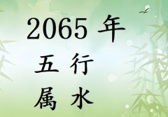 2065年五行属什么?2065年出生是什么命?