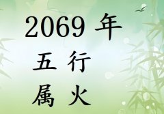 2069年五行属什么?2069年出生是什么命?