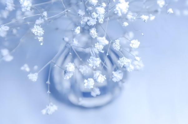 星座2024年10月28日到11月3日一周运势