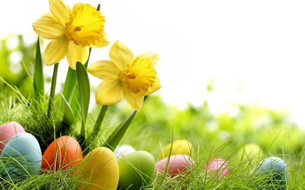 属牛人2025年运势及运程详解,2025年属牛人全年整体运程