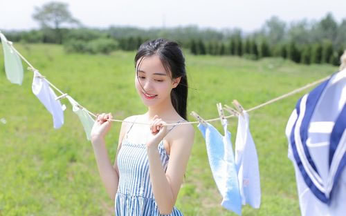 属鸡人2026年运势及运程详解,2026年属鸡人全年整体运程