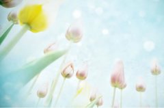 属龙人2026年运势及运程详解,2026年属龙人全年整体运程